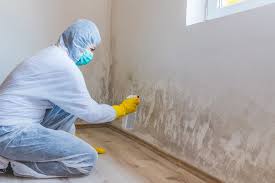 Best Emergency Mold Remediation  in Jonesville, LA